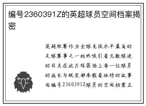 编号2360391Z的英超球员空间档案揭密